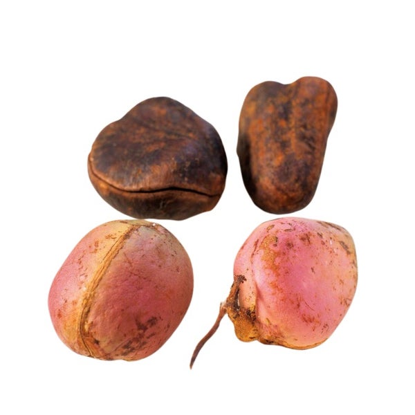 Noix De Cola 100 g