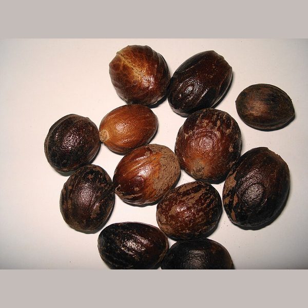 Muscade 100 g
